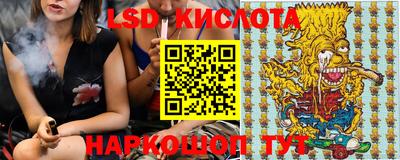 гашик Аргун