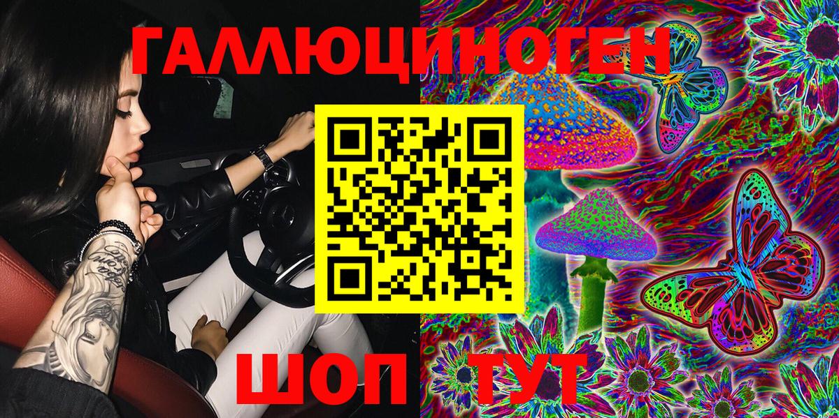 Галлюциногенные грибы Psilocybine cubensis Аргун