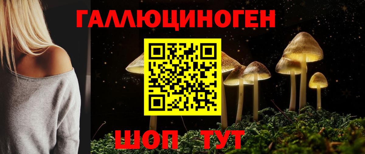 Аргун  Псилоцибиновые грибы прущие грибы  Вход с VPN 